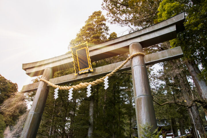 安井金比羅宮に行ってはいけない？その理由と強すぎるパワーを解説！