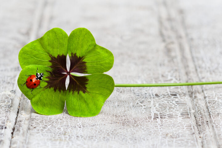 ラッキーな事がたくさん起こる待ち受け！口コミと一緒に紹介【2023年】 