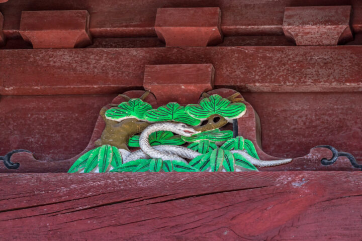 蛇の夢を見たら宝くじが当たる？蛇の夢の基本的な意味は？