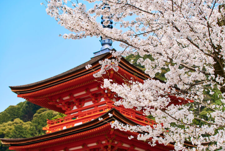 伊勢神宮はパワーが強すぎる？お参りで人生が変わるって本当？ 