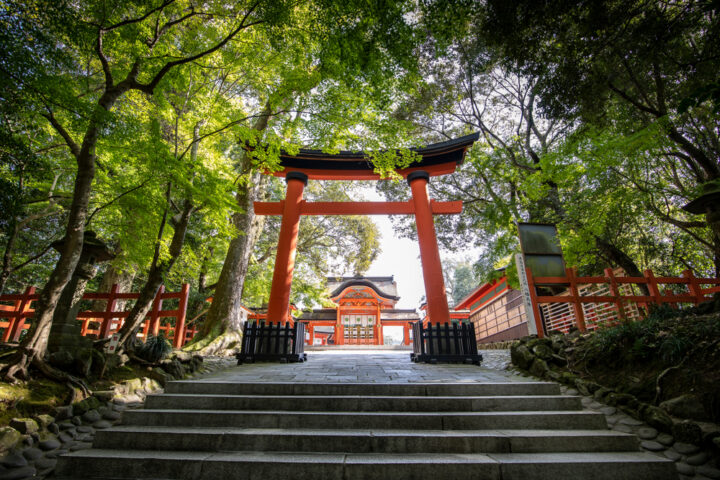 伊勢神宮はパワーが強すぎる？お参りで人生が変わるって本当？ 