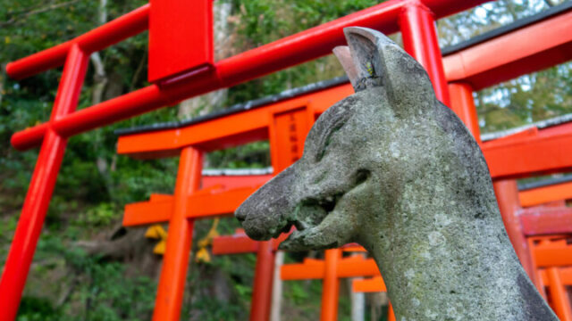 稲荷神社に行ってはいけない人の特徴は？怖いと感じる人の口コミもご紹介！ 